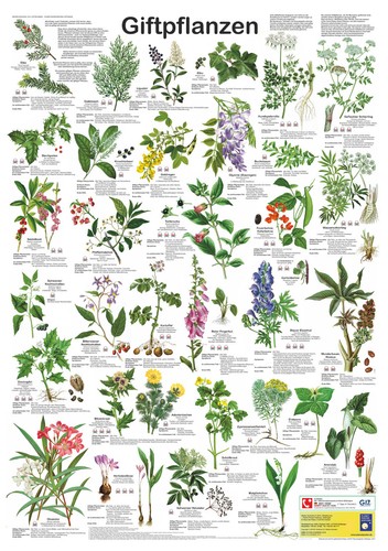 Bio poster giftpflanzen - bio-poster, "giftpflanzen"