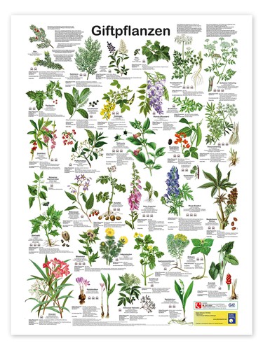 Poster giftpflanzen planet - poster,