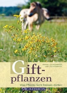 Giftpflanzen was pferde nicht - was,