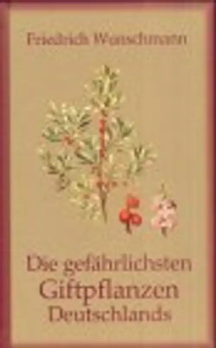 Die gefährlichsten