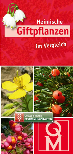 Heimische giftpflanzen - heimische,