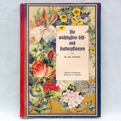 Rarrität buch 1900 - 1900, die