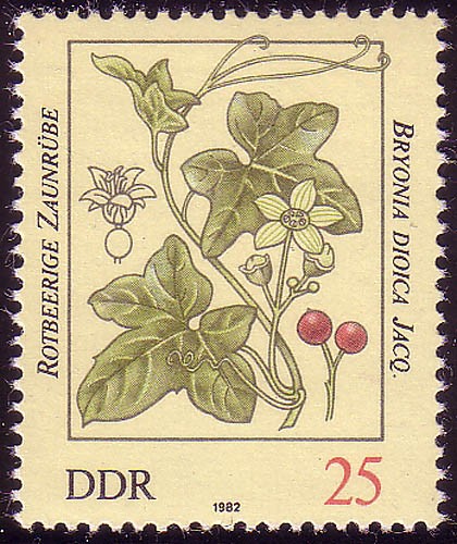 2694 giftpflanzen pf - 2694,